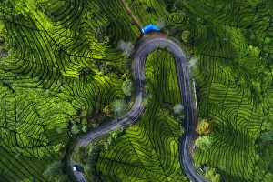Plantations Gallery: Indonesia - Rancabali Tea Aerial