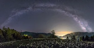 Cosmic Gallery: Milky way and daffodils