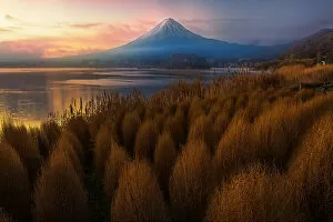 Fuji Gallery: Mt. Fuji in Fall