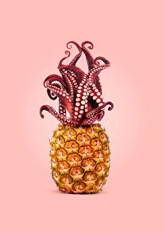 Food and Drinks Collection: Octopus Pineapple