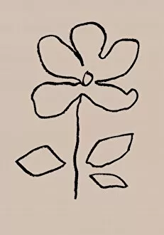 1xstudio Gallery: Oil Pastel Flower Black
