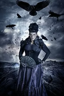 Ravens Gallery: The ravens widow
