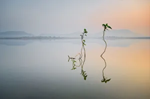 Maharashtra Gallery: Reflection of Life