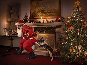 Santa Claus Gallery: Santa was caught