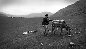 Armenia Gallery: Shepherd with donkey