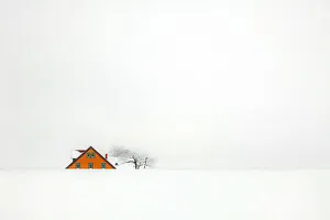 Images Dated 6th March 2016: 'snowbound '