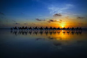 Sunset Camel Ride