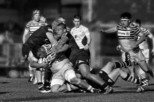 Wasps Gallery: Try to stop