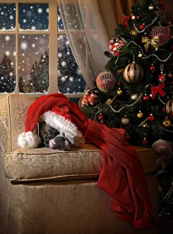 Santa Claus Gallery: Waiting for Santa