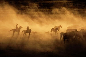Dust Gallery: Wild horses of Cappadocia