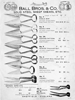 Brothers Gallery: Advertisement for Ball Brothers and Co solid steel sheep shears, Globe Works, Penistone Road, etc