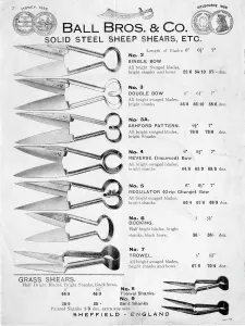 Advertisement for Ball Brothers and Co solid steel sheep shears, Globe Works Advertisement for Ball Brothers and Co solid steel sheep shears, Globe Works