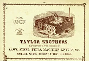 Advertisement for Taylor Brothers, Manufacturers of Saws, Steel, Files, Machine Knives, etc