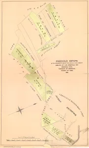 Freehold estate of the representatives of the late Mr Thomas Didsbury at Lower Bradfield Freehold estate of the representatives of the late Mr Thomas Didsbury at Lower Bradfield