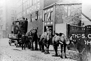 On war Service for Thomas Oxley Ltd, Shiloh Wheel, Stanley Street, 1914