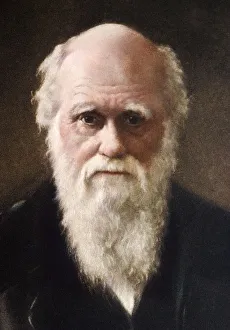 1881 portrait of Charles Robert Darwin 1881 portrait of Charles Robert Darwin