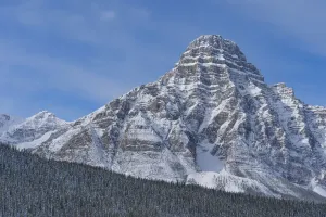Canadian Rocky Prints: Snow-covered Mount Chephren Print, coniferous forest below