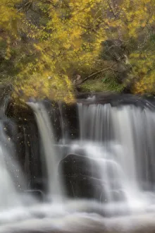 Abstract of waterfall with Silver birch (Betula pendula) above, Glenfeshie, Cairngorms Abstract of waterfall with Silver birch (Betula pendula) above, Glenfeshie, Cairngorms