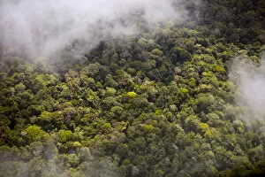 Expansive Gallery: Aerial view of Amazon Rainforest, Peru, July 2015