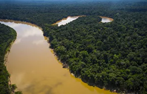 Expansive Gallery: Aerial view of Amazon Rainforest and the Yavari River, and oxbow lake, Peru. July 2015