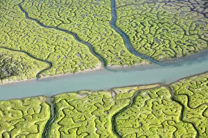 Delta Collection: Aerial view of the Bay of Cadiz delta, Sancti Petri, Cdiz, Spain