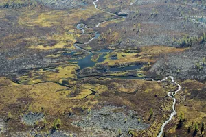Boreal Forest Gallery: Aerial view of headwaters of the Lena River. Siberia, Russia. August 2018