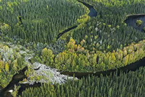 Boreal Forest Gallery: Aerial view of headwaters of the Lena River, Siberia, Russia. August 2018