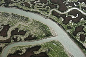 Aerial view of marshes with Seaweed exposed at low tide, Baha de Cdiz Natural Park Aerial view of marshes with Seaweed exposed at low tide, Baha de Cdiz Natural Park