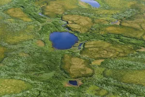 Aerial view of Pechora River Delta, Nenets Autonomous Okrug, Arctic, Russia, July 2017 Aerial view of Pechora River Delta, Nenets Autonomous Okrug, Arctic, Russia, July 2017