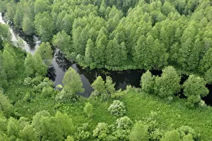 Images Dated 11th June 2008: Aerial view of river, Kemeri National Park, Latvia, June 2009