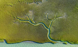 Tidal Gallery: Aerial view of tidal channels in marshland, with tree like appearance