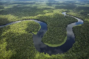 Aerial view of tropical rainforest and meandering river, Salonga National Park Aerial view of tropical rainforest and meandering river, Salonga National Park