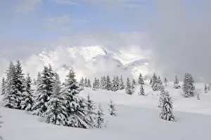 Alpine landscape after fresh snow, Hauteluce, Haute-Savoie, France, February 2013 Alpine landscape after fresh snow, Hauteluce, Haute-Savoie, France, February 2013