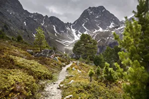 Alpine pine forest path leading to the Feichtener Karlspitze (2916 metres), Austrian Alps Alpine pine forest path leading to the Feichtener Karlspitze (2916 metres), Austrian Alps