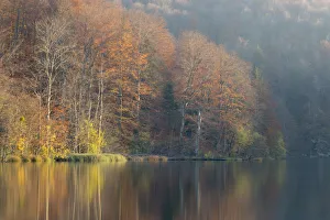 Autumnal reflections in the Upper Lakes, Plitvice Lakes National Park, Croatia. November 2015 Autumnal reflections in the Upper Lakes, Plitvice Lakes National Park, Croatia. November 2015