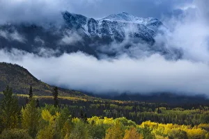 Autumnal woodland and Young Peak surrounded by clouds, British Columbia, Canada, September 2013 Autumnal woodland and Young Peak surrounded by clouds, British Columbia, Canada, September 2013