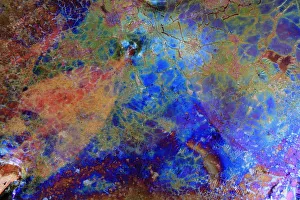 Bacteria (Leptothryx discophora) causing iridescent sheen on water surface with White Bacteria (Leptothryx discophora) causing iridescent sheen on water surface with White