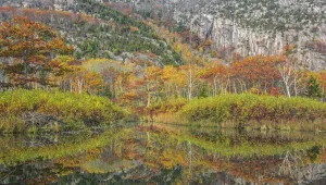 Beaver pond with beaver lodge (on the left side) and trees reflected in autumn Beaver pond with beaver lodge (on the left side) and trees reflected in autumn