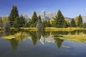 Beaver Pond with mountains and trees reflected in surface, Grand Teton National Park Beaver Pond with mountains and trees reflected in surface, Grand Teton National Park