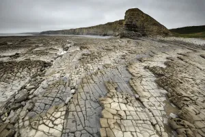 Bedding planes and joint network in Jurassic age Blue Lias limestone and shale exposed Bedding planes and joint network in Jurassic age Blue Lias limestone and shale exposed