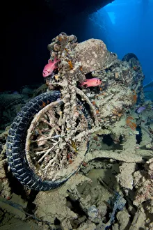 British World War II BSA M20 motorbike inside Hold 2 of wreck of HMS Thistlegorm British World War II BSA M20 motorbike inside Hold 2 of wreck of HMS Thistlegorm