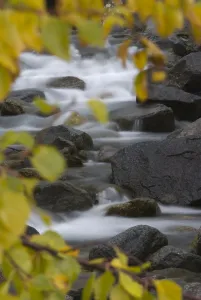 Cascading river through autumnal foliage, Sarek National Park, Laponia World Heritage Site Cascading river through autumnal foliage, Sarek National Park, Laponia World Heritage Site