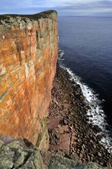 Images Dated 21st July 2008: Cliff scenery at North Hoy, Hoy, Orkney, Scotland, July 2008