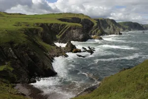 Cliffs showing rock striations and geological folding, Pettico Wick, St Abbs (St Abbs Cliffs showing rock striations and geological folding, Pettico Wick, St Abbs (St Abbs
