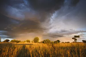 Images Dated 12th March 2009: Clouds during the rainy season in the Kalahari Desert, Botswana, March 2009