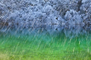 Images Dated 21st January 2012: Colourful water with reflections in snow, Plitvice Lakes National Park, Lika, Croatia