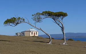 Images Dated 24th January 2018: Commandants residence from 1825, Maria Island National Park east coast of Tasmania, Australia