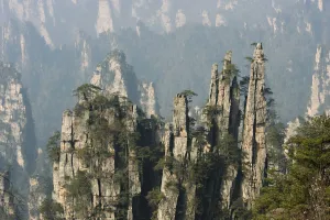 Conifers on sandstone pinnacles, Imperial Pen Peak, Emperor Peak, Zhangjiajie National Conifers on sandstone pinnacles, Imperial Pen Peak, Emperor Peak, Zhangjiajie National