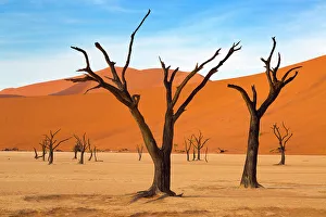 Deadvlei with dead Camel thorn trees, Namib-Naukluft National Park, Namib Desert, Namibia Deadvlei with dead Camel thorn trees, Namib-Naukluft National Park, Namib Desert, Namibia