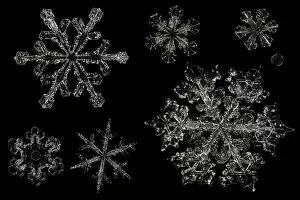 Images Dated 18th February 2009: Different Snowflakes showing range in size and pattern, magnified under microscope